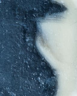 Tea Tree + Lemon Soap-3