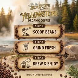 Yellowstone Organic Coffee, Medium Roast-2