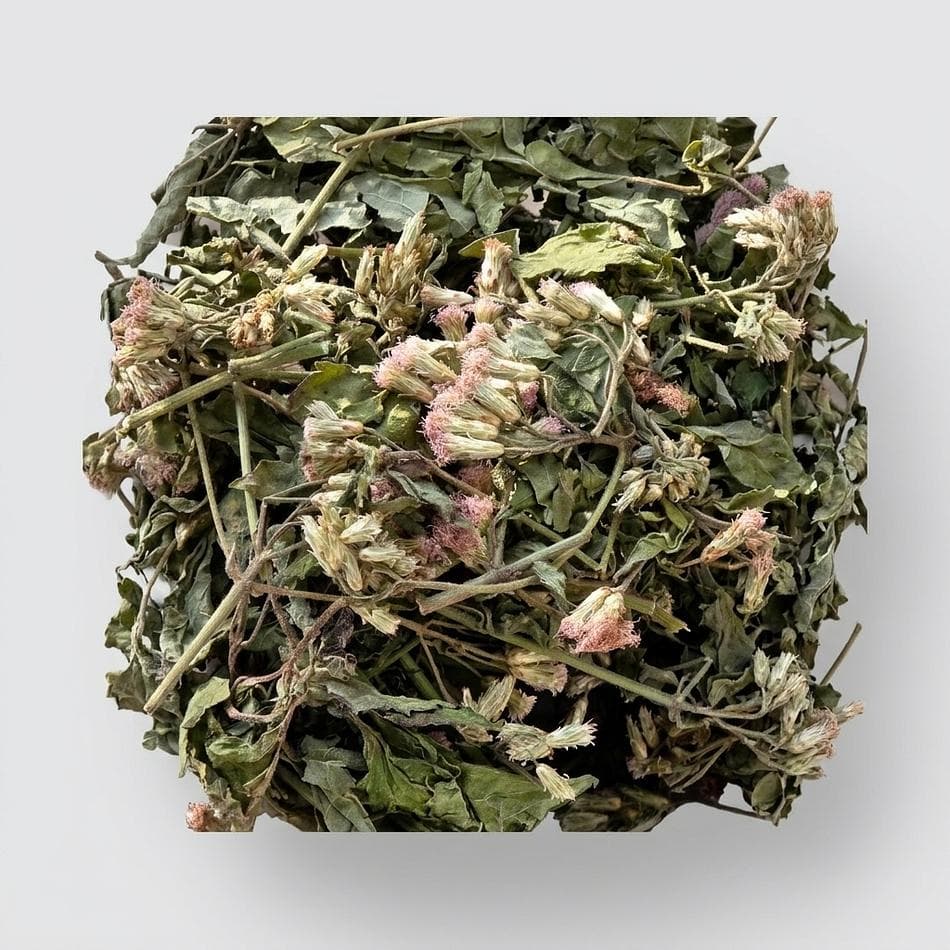 Dried Dream Herb (Calea zacatechichi) Leaf, Vivid Dream Support & Relaxation, 1 oz Loose Herb