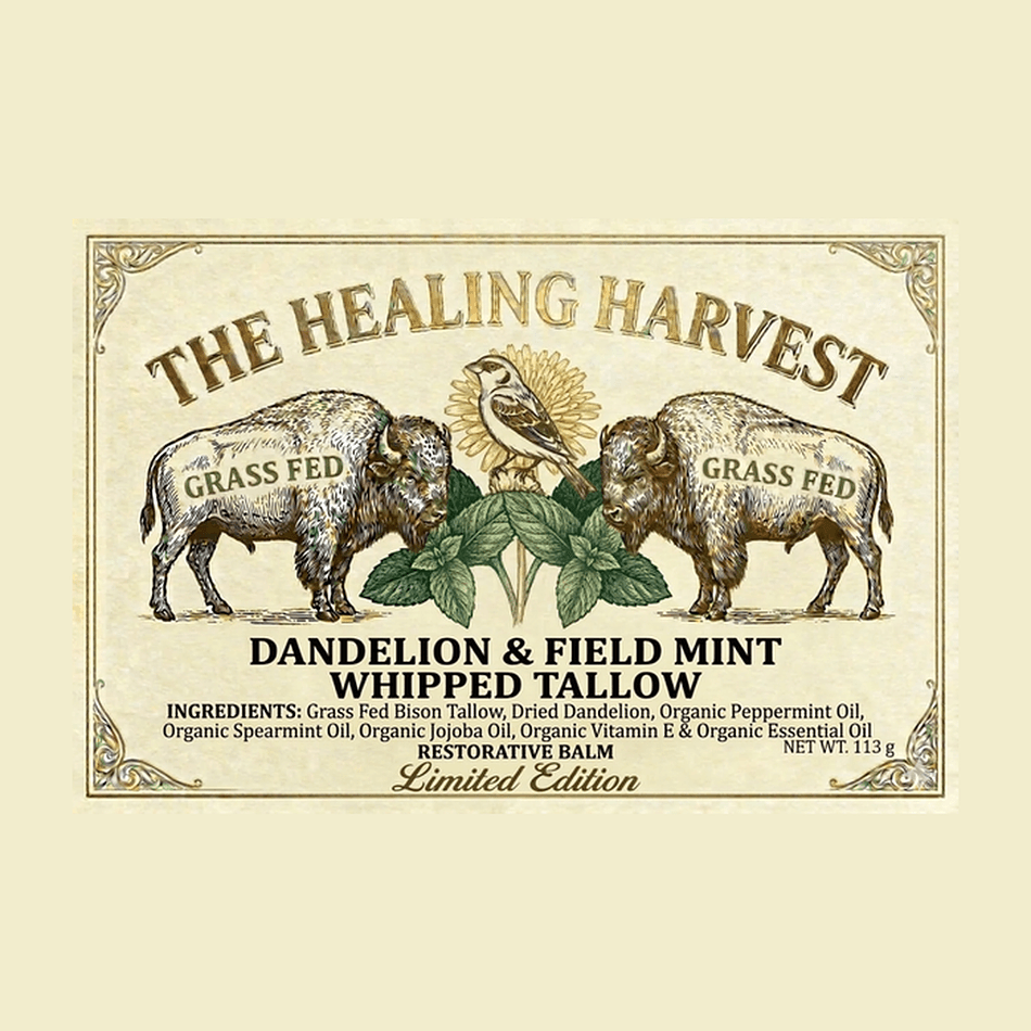 Whipped Bison Tallow Body Butter, Moringa & Dandelion, Mint Essential Oils, Deep Moisture for Dry Skin, 1 Jar