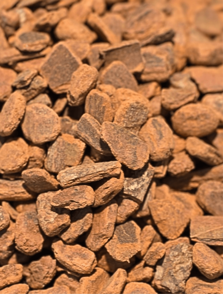 Cinnamon Bark Chips, Cinnamomum (Ceylon or Cassia), Warming Digestive Support, Dried Chips, Net Wt.  1oz