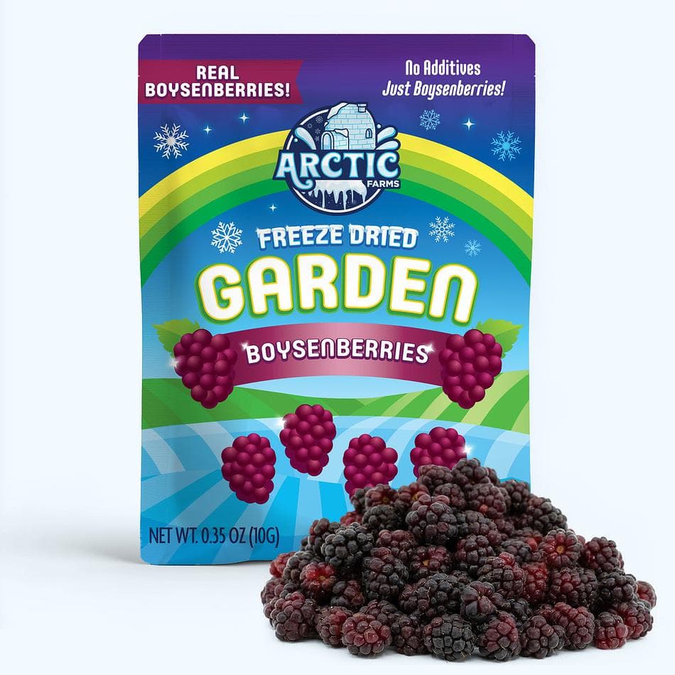 Freeze-Dried Boysenberry, Premium Whole Berry Snack, Pack of 3 Resealable Bags (0.6 oz each)