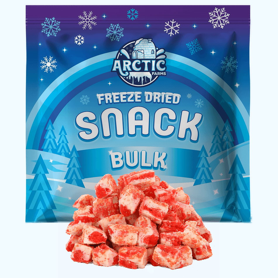 Freeze-Dried Ice Cream Bar Bites, Strawberry Shortcake, Crunchy No-Melt Dessert Snack, Bulk Bag (17 oz)