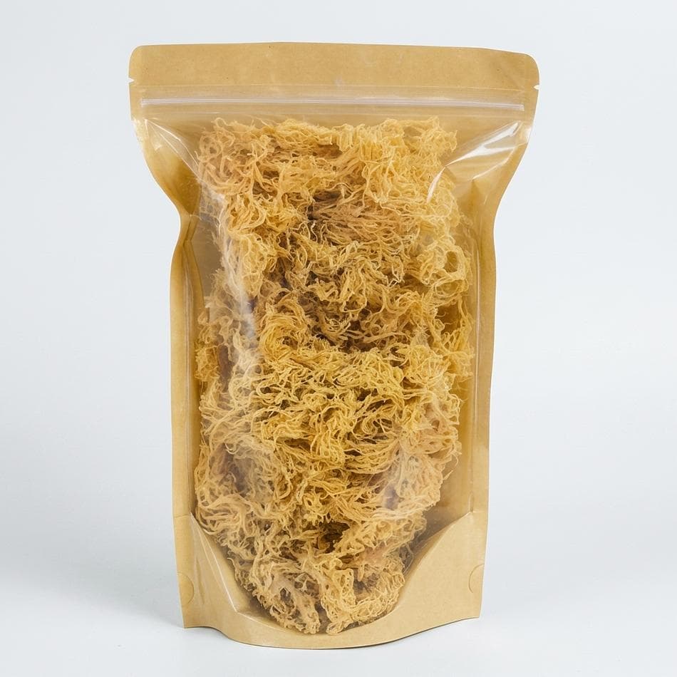 Wildcrafted Gold Sea Moss, Sun-Dried Mineral Support, 8oz (1/2 lb) Dried Seaweed for Gel & Smoothies