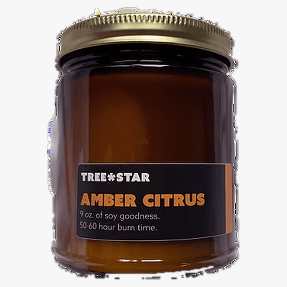 Soy Candle, Amber + Citrus + Sea Salt, Warm Coastal Scent, 25+ Hour Burn, Reusable Amber Glass Jar