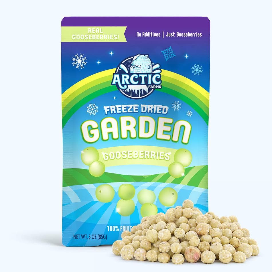 Freeze-Dried Organic Green Gooseberries, Tart, Bright, Antioxidant-Rich Snack, Large Resealable Bag (1.25 oz)