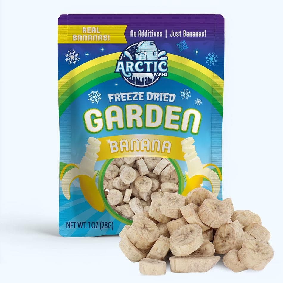 Freeze-Dried Banana Chips, Naturally Sweet, Crunchy Fruit Snack, Pack of 3 Resealable Bags (1 oz each)