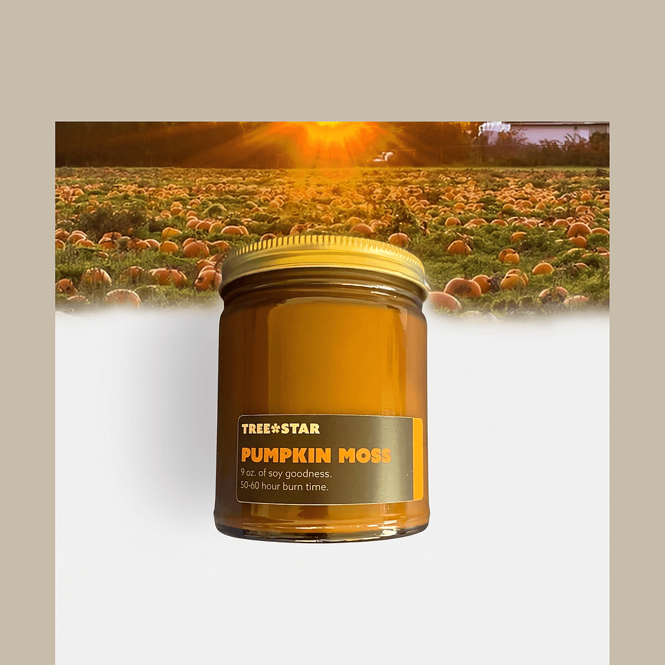 Soy Candle, Pumpkin Vine & Green Leaves, Cinnamon Clove, Smoky Moss & Caramel, Fall Home Scent, 1 Jar
