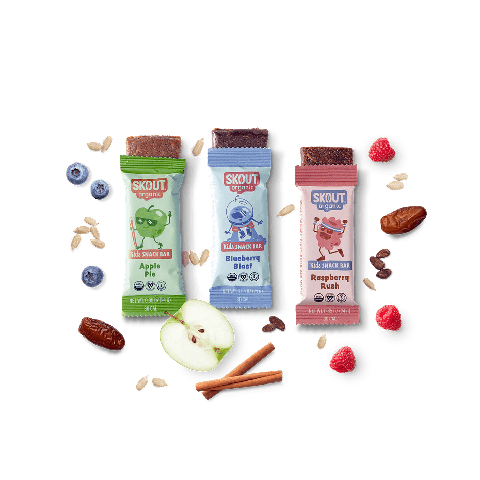 Organic Kids Fruit Snack Bars, Dates & Sunflower Butter, Nut-Free School Safe, 18-Pack Variety (Apple, Blueberry, Raspberry)