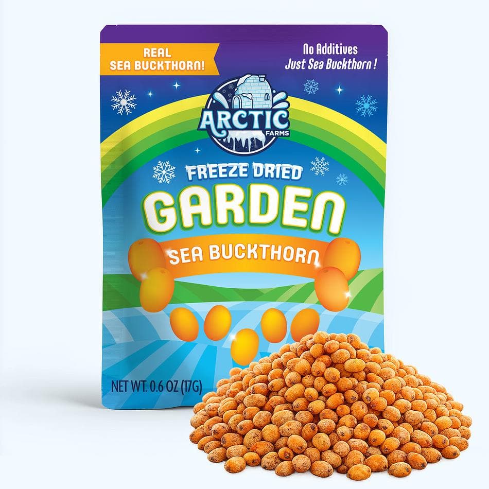 Freeze-Dried Wild Sea Buckthorn, Tart, Bright, Vitamin-Rich Whole Berries, Pack of 3 Resealable Bags (0.6 oz each)
