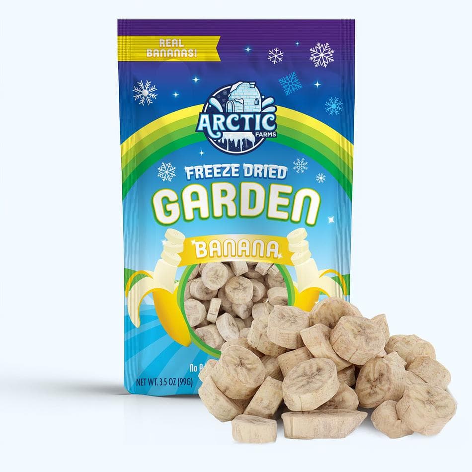 Freeze-Dried Banana Chips, Naturally Sweet, Crunchy Fruit Snack, Large Resealable Bag (3.5 oz)