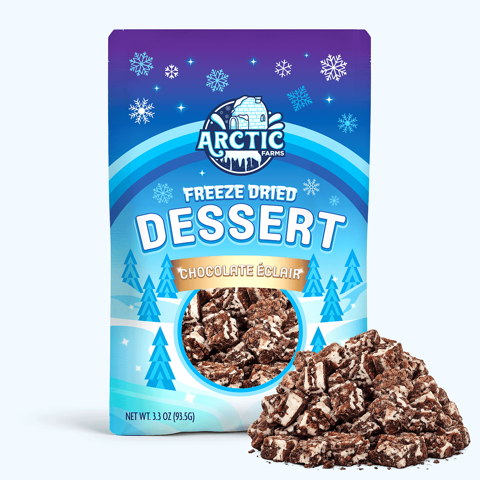 Freeze-Dried Ice Cream Bar Bites, Chocolate Éclair, Crunchy No-Melt Dessert Snack, Large Resealable Bag (3.3 oz)