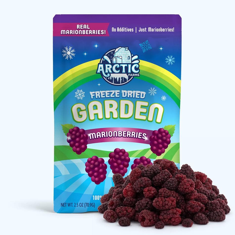 Freeze-Dried Marionberries, Deep, Jammy, Pacific Northwest Berry Flavor, Large Resealable Bag (2.5 oz)