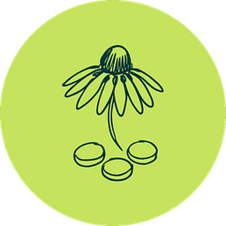Immune Herbs & Lozenges