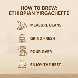 The Best Damn Coffee - Ethiopian Yirgacheffe Blend - 5 Pounds-5