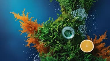 6 Gen Gin Juices