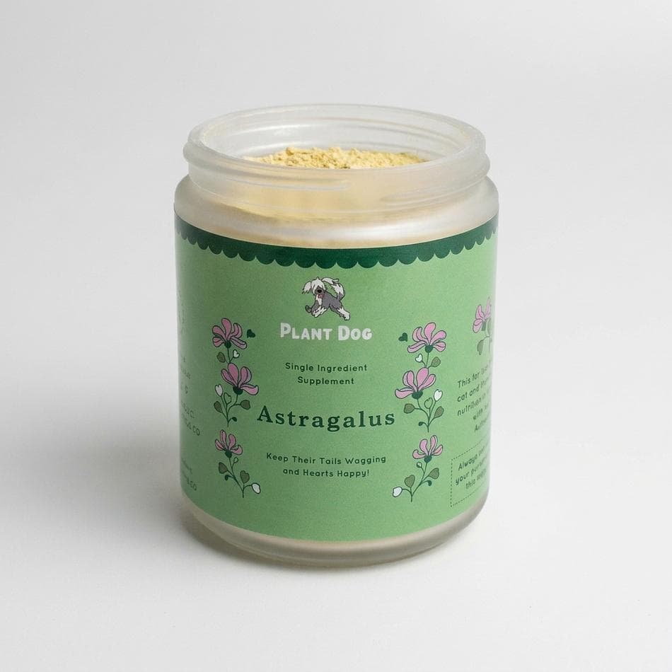 Astragalus Powder for Dogs, 100% Pure Astragalus Root, Immune Support & Antioxidants, Mix-In Food Supplement, 1 Pack