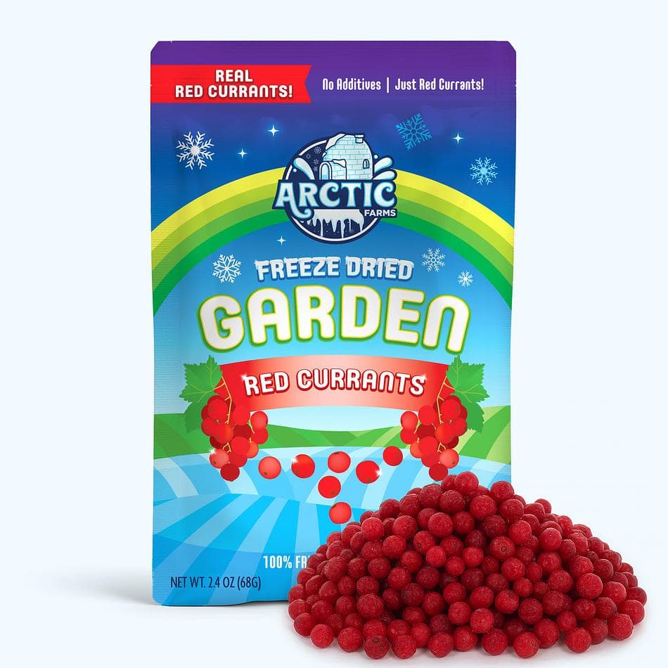 Freeze-Dried Red Currants, Whole Tart Berry Snack, Large Resealable Bag (2.4 oz)