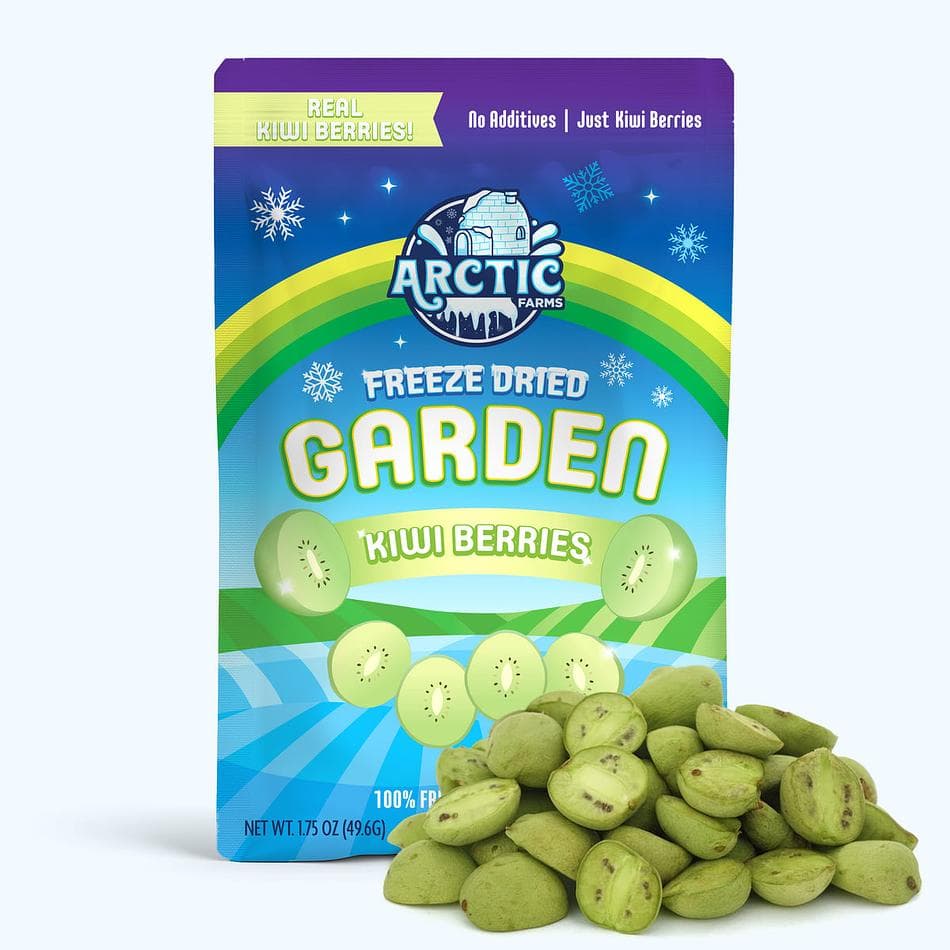Freeze-Dried Kiwi Berry, Baby Kiwi Snack, Large Resealable Bag (2.1 oz)